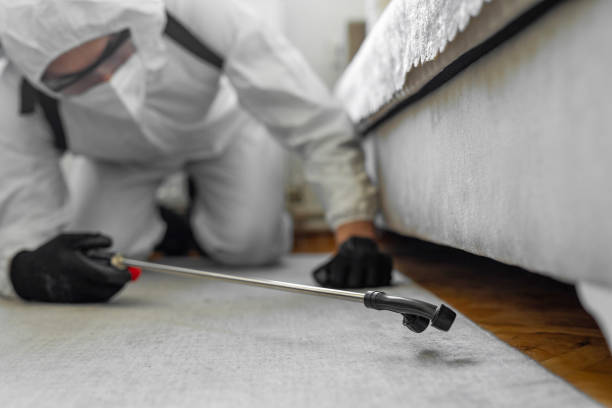 Professional Pest Control technician working in Gilmer County County, GA